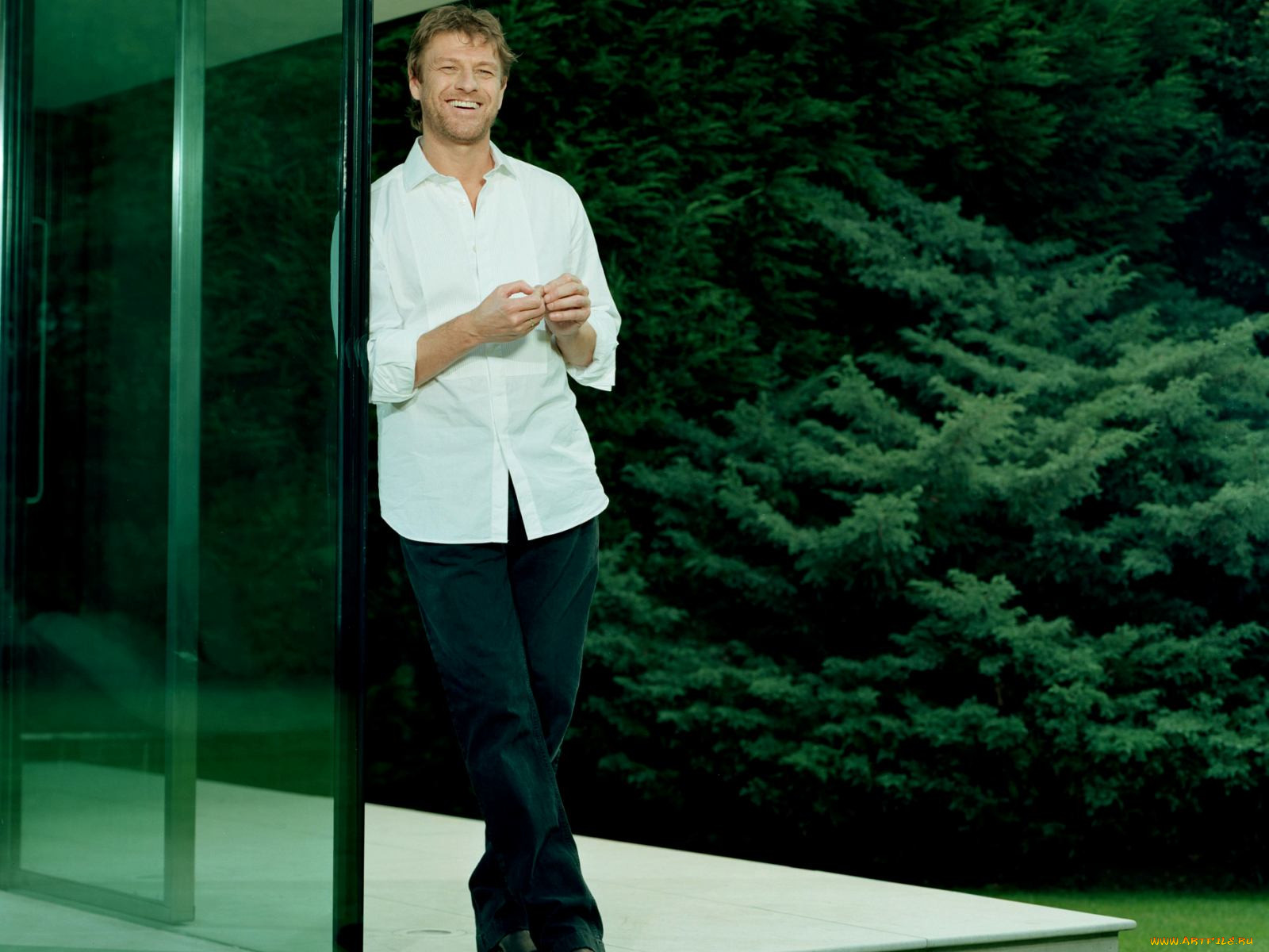 sean, bean, 